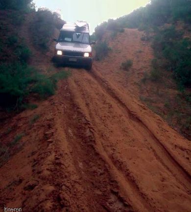 Asinara in Jeep