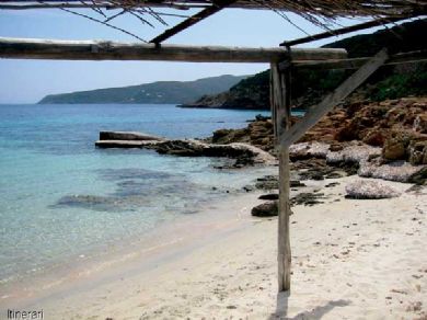 Asinara spiaggia