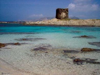 Asinara sullo sfondo