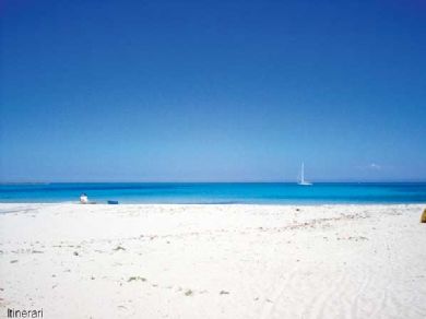 Stintino spiaggia della Pelosa